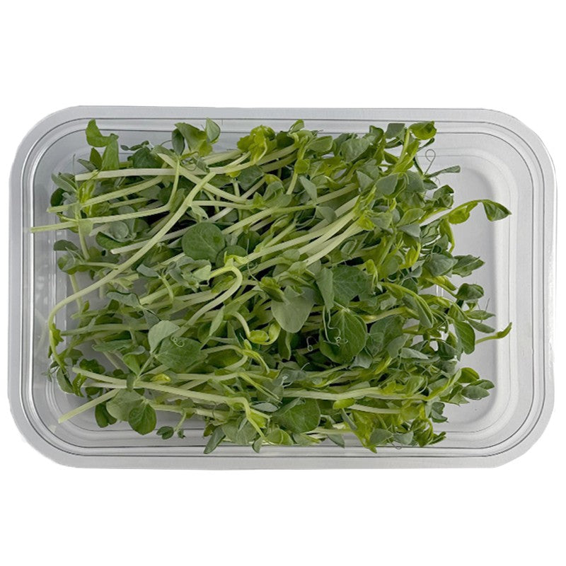 Български продуктМикро Грах Сладък от Ферма Microgreens Bulgaria