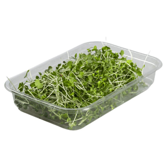 Български продуктБроколи Микро от Ферма Microgreens Bulgaria