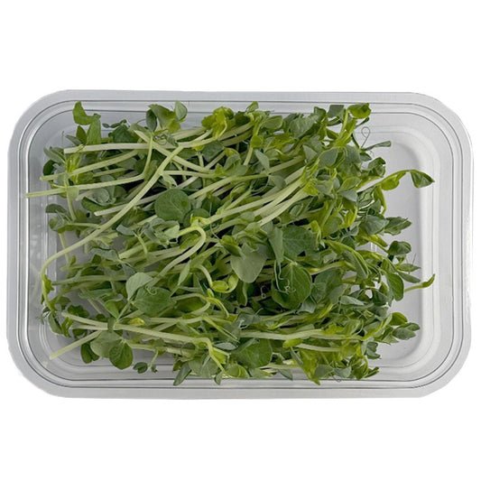 Български продуктМикро Грах Сладък от Ферма Microgreens Bulgaria